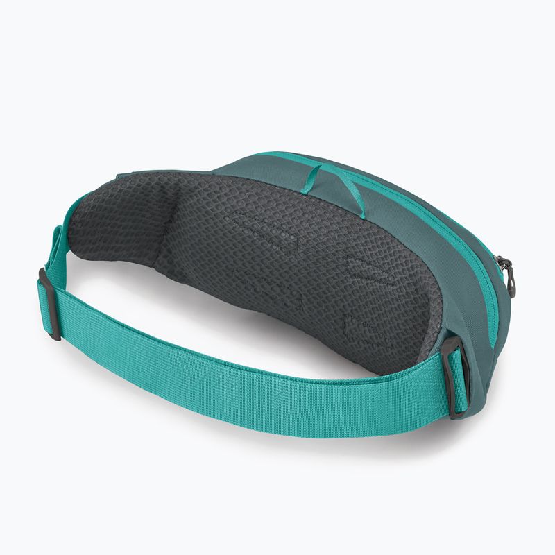 Ledvinka Osprey Daylite Waist jetstream blue/cascade blue 3
