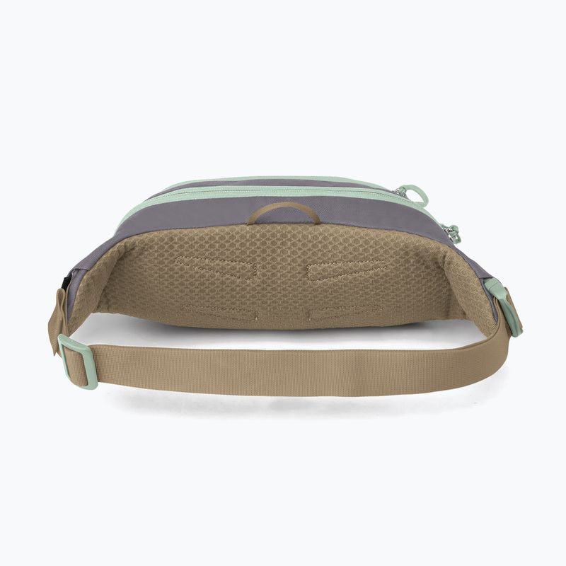 Ledvinka Osprey Daylite Waist 2 l soundwave grey/ latte brown 3