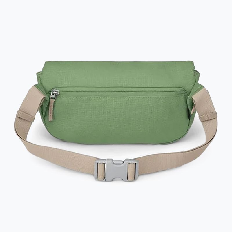 Ledvinka Osprey Arcane Hip 2 l botanica 2