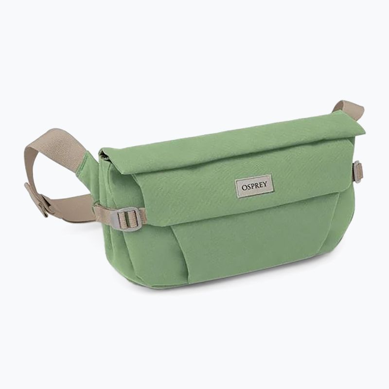 Ledvinka Osprey Arcane Hip 2 l botanica 3