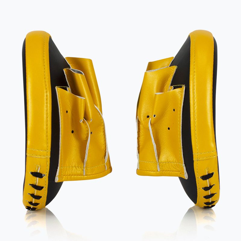 Fairtex Speed & Accuracy Focus Mitts černé/zlaté tréninkové tlapky 3