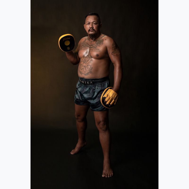 Fairtex Speed & Accuracy Focus Mitts černé/zlaté tréninkové tlapky 4