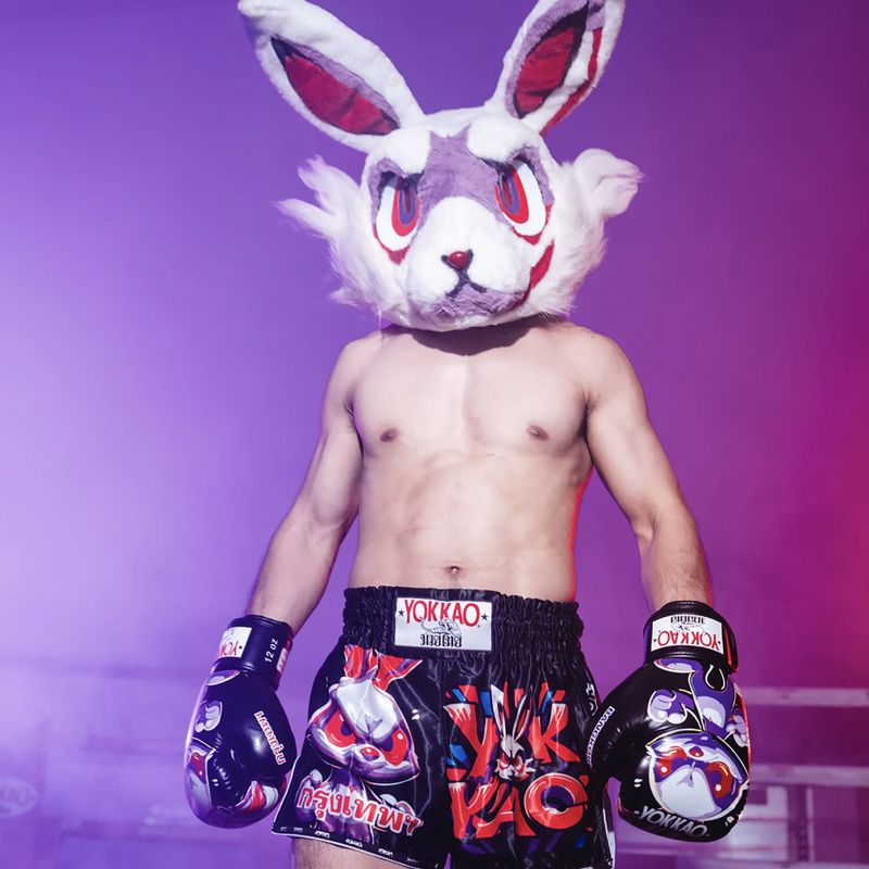 Pánské tréninkové šortky YOKKAO Angry Rabbit Muay Thai black 6