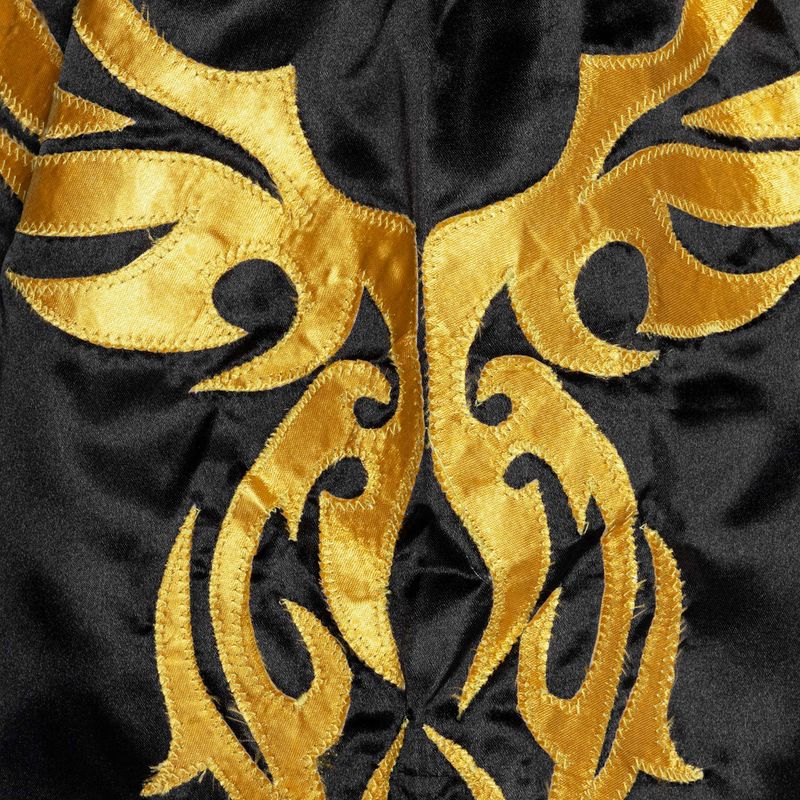 Pánské  šortky Top King Kickboxing 4