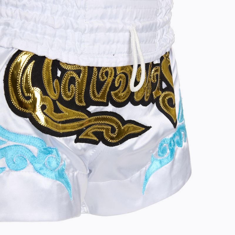 Tréninkové šortky Top King Kickboxing white 4