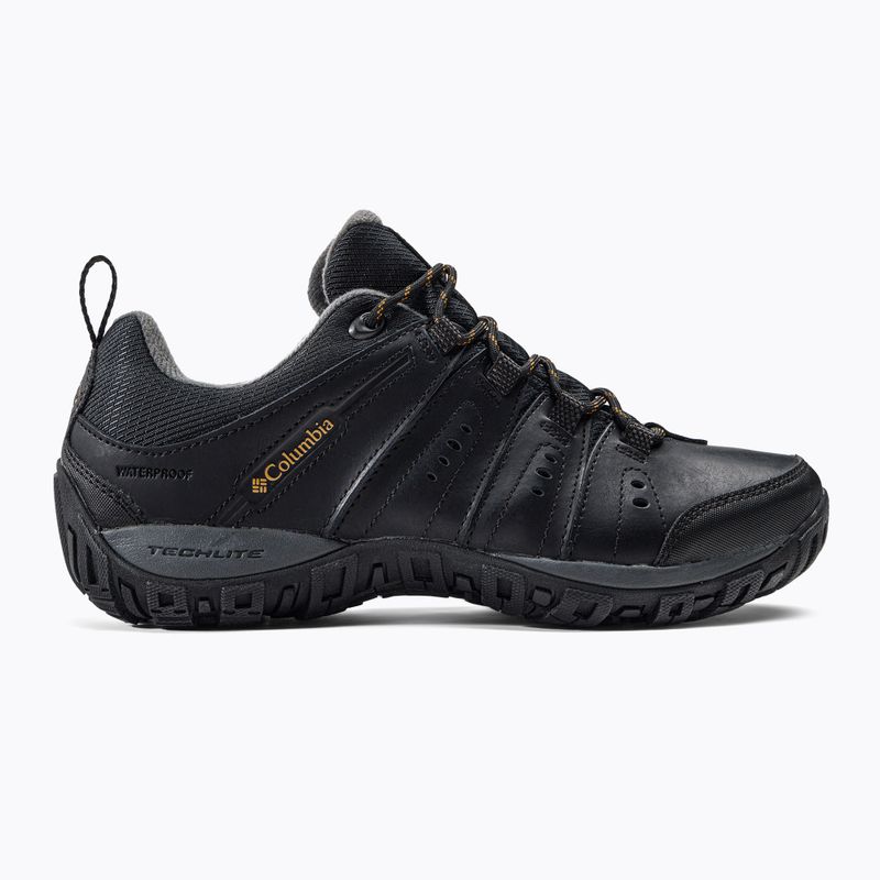 Pánská trekingová obuv Columbia Woodburn II Waterproof černá 1553001 2