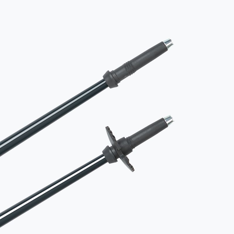 Lyžařské hole Fischer RC4 Noize grey / blue 5