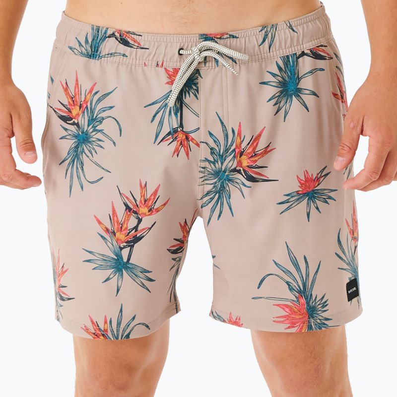 Pánské šortky Rip Curl Paradiso Volley 5067 béžove 03DMBO