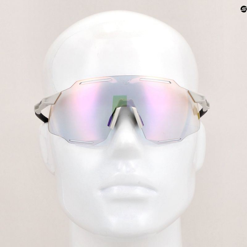 Sluneční brýle DYNAFIT Alpine Evo nimbus/black out 7