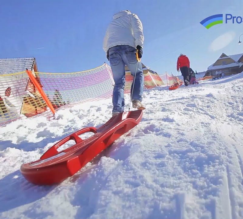 Sáňky Prosperplast SEA LION modré ISBLION-3005U 6
