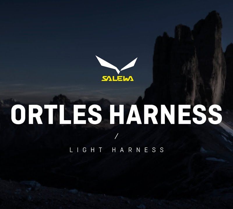 Salewa Ortles Lezecký úvazek žlutý 00-0000001751 7