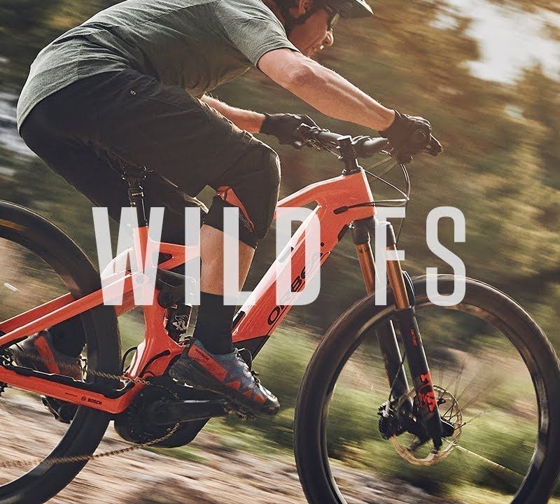 Elektrokolo Orbea Wild FS H10 stříbrné M34718WB 14