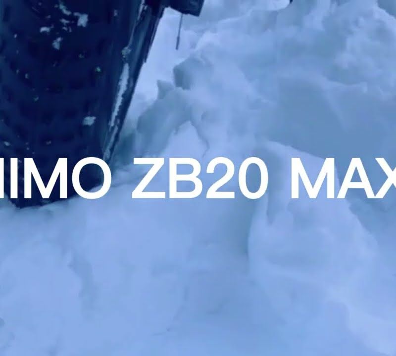 Elektrokolo HIMO ZB20 Max béžové barvy 18