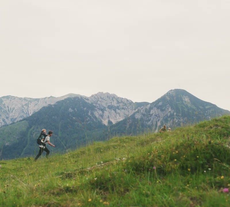 Turistické nosítko Thule Sapling Child Carrier zelené 3204539 10
