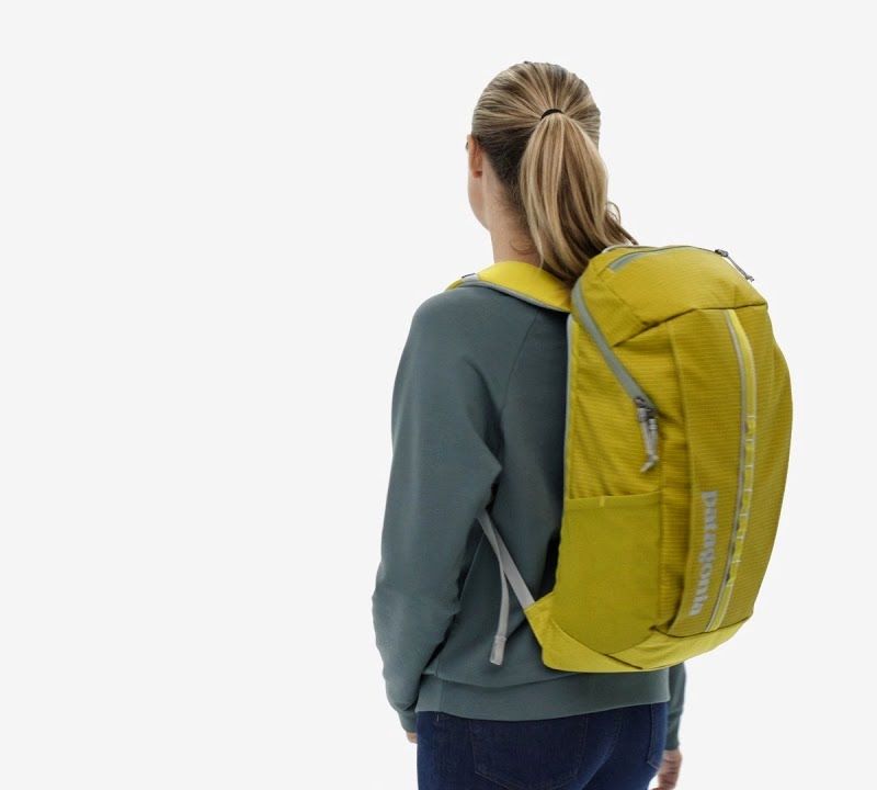 Turistický batoh Patagonia Black Hole Pack 25 l shrub green 7