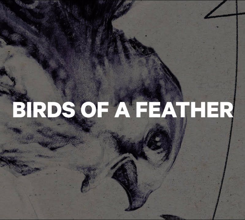 Dámský snowboard CAPiTA Birds Of A Feather Wide bílý 1211120 5