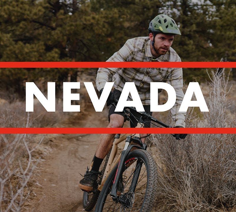 Horské kolo Fuji Nevada 29 1.3 satin silver 5