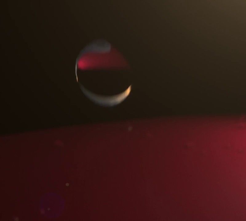 Pánská bunda Helly Hansen Crew Hooded Midlayer bílá 33874_001 10