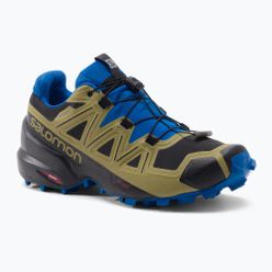 Pánská trailová obuv Salomon Speedcross 5 GTX green-blue L41612400