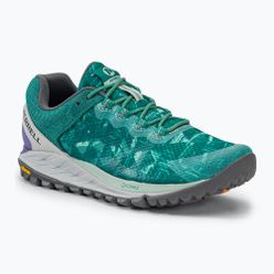 Dámské běžecké boty Merrell Antora 2 Print blue J067192