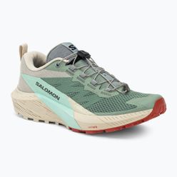 Dámské běžecké boty Salomon Sense Ride 5 Lily Pad/Rainy Day/Bleached Aqua L47212300
