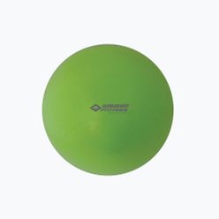 Schildkröt Pilatesball zelená 960133