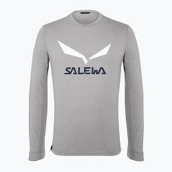 Pánské trekingové tričko Salewa Solidlogo Dry LS šedé 27340