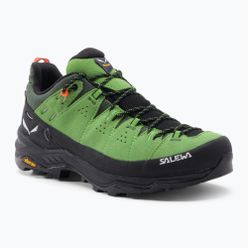 Pánské trekové boty Salewa Alp Trainer 2 GTX green 00-0000061400