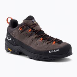 Pánská trekingová obuv Salewa Alp Trainer 2 GTX 7953 hnědá 61400
