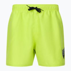 Pánské plavecké šortky Nike Liquify Swoosh 5' Volley Green NESSC611