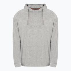 Pánská mikina Pitbull West Coast Hooded Small Logo Spandex 210 grey