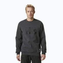 Pánská mikina Helly Hansen Arctic Ocean Sweater šedá 30364_980