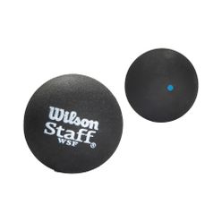 Wilson Staff Squash 2 Ball Bl Dot black WRT617500+
