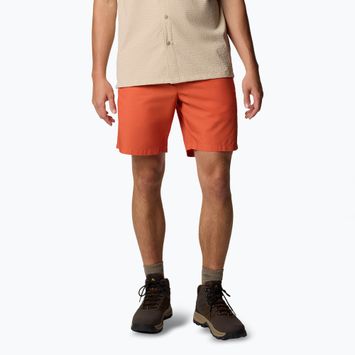 Pánské trekové šortky Columbia Washed Out tuscan