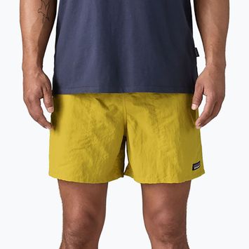 Pánské šortky Patagonia Baggies 5" bundle green