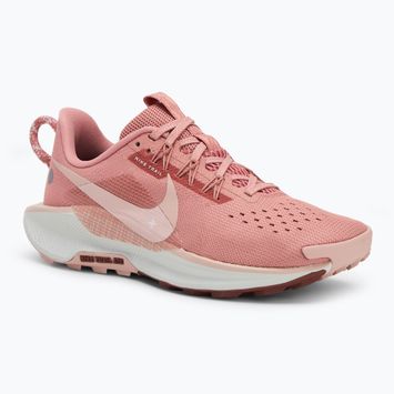 Dámské běžecké boty Nike Pegasus Trail 5 red stardust/ red sepia/ photon dust/ pink oxford