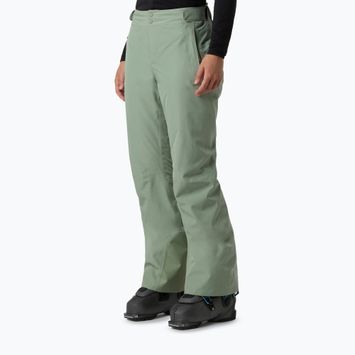 Dámské lyžařské kalhoty The North Face Descendit Regular slate moss
