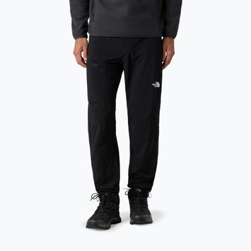 Pánské softshellové kalhoty The North Face Speedlight Regular black