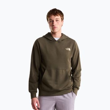 Pánská mikina The North Face Monte Regular Hoodie Graphic new taupe green