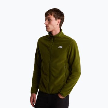 Pánská mikina The North Face Glacier Fleece