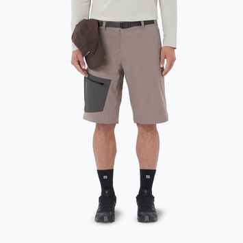 Pánské trekingové šortky Salomon Outerpath Utility iron