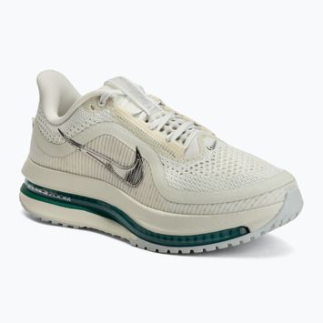 Dámské běžecké boty Nike Pegasus Premium sea glass/malachite/metallic silver