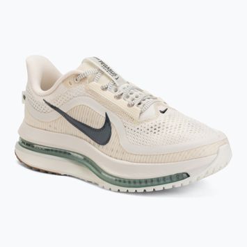 Pánské běžecké boty Nike Pegasus Premium Pale ivory/jade horizon/black spruce