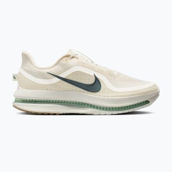 Pánské běžecké boty Nike Pegasus Premium Pale ivory/jade horizon/black spruce
