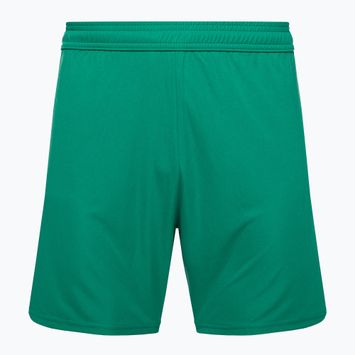 Dětské fotbalové šortky Capelli Sport Cs One Adult Match green/white