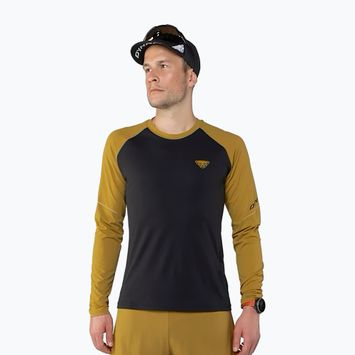 Pánské běžecké tričko longsleeve  DYNAFIT Alpine Pro black out tabacco