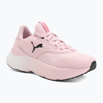 Dámské běžecké boty PUMA Softride Mayve rose mauve/puma black/sun struck