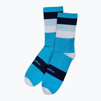 Pánské cyklistické ponožky Endura Bandwidth hi-viz blue
