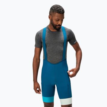 Pánské cyklistické šortky Endura Loop Bibshort barra blue