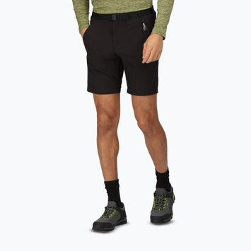 Pánské trekingové šortky Regatta Xert Stretch III black